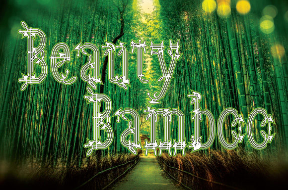 Beauty Bamboo: A Premium Display Font for Web Design