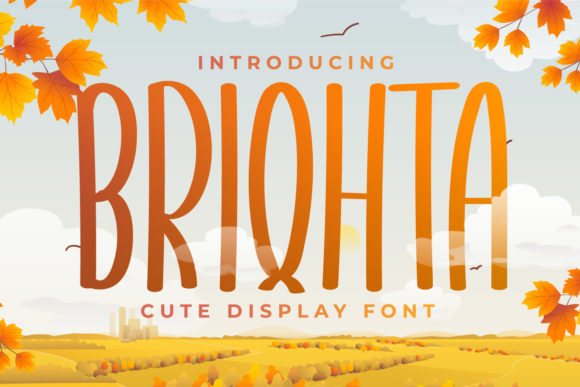 Briqhta: A Real-World Review for Designers