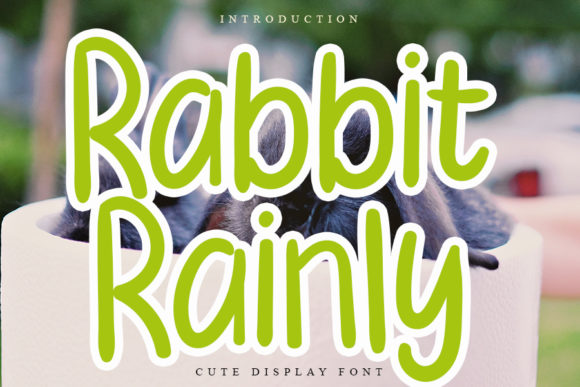 Rabbit Rainly: A Friendly Display Font for Campaigns
